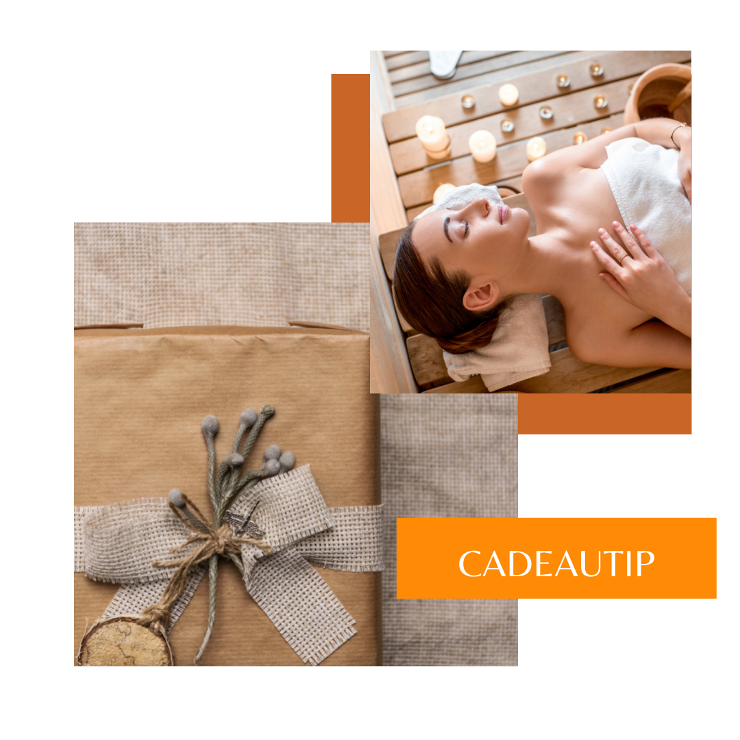 Cadeautip feestdagen – TEMP4 Cadeautip